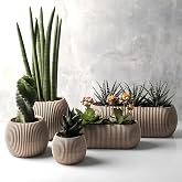 Mercan Saksı Set Dekoratif Drenajlı &Ccedil;izgili Mat (5 Par&ccedil;a, Bej)