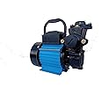 Lakshmi 0.5 HP Self Priming Water Pump (Colour May Vary)