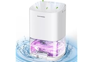 WAROUS Deumidificatore Casa Deumidificatore Portatile 1100ML Silenzioso Spegnimento Automatico Luci LED 7 colori Piccolo Per la Casa Bagno Cabina Armadio Auto Anti umidità Breeze Camera da Letto