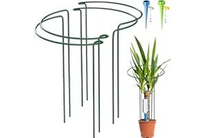 KAZITOO 4 Stück große 50cm hohe Bogen Pflanze Stützpfähle, 4mm starker Metallgarten unterstützt grüne halbrunde Blume Reifen mit 2 Selbst Gießspitzen für Pfingstrosen, Hortensien, Monstera(50x27cm)
