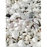 SOSC Doğal Beyaz Dolomit &Ccedil;akıl Taşı 0-1 cm Akvaryum ve Peyzaj Taşı 1 Kg | Akvaryum i&ccedil;in, Peyzaj Taşı, Dekoratif, Y&uuml;ksek Beyaz