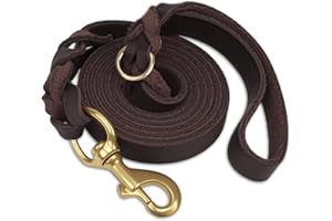 Joytale Correa Cuero Perro, Correa De Cuero Resistente para Perros con Gancho De Latón Resistente, Suave Y Duradero, Apto para Perros Pequeños Medianos Y Grandes（Marrón, 180cm×2cm）