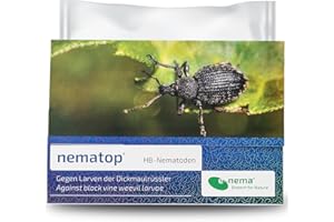Fighting thick weevils with e-nema HB nematodes | 50 million for 100 m² | nematop