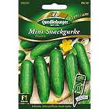 Mini Snackgurke, Picolino F1