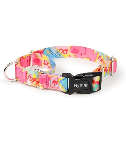 Haoyueer Martingale Hundehalsband - Verstellbar, Neopren Gepolstert, Für Kleine, Mittlere & Große Hunde (Größe S, Rot)