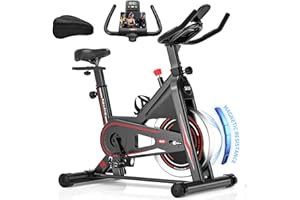 Cyclette da Casa, DMASUN Cyclette Professionali Hanno Una Resistenza Magnetica più Forte, cyclette più Silenziosa, più Confortevole e Sicurezza Stabile, Capacità 160 kg（Include Coprisella Cyclette）