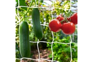 KINGLAKE Red de jardín blanca de poliéster para enrejado de 5 x 1,67 m para plantas de frijoles y plantas trepadoras