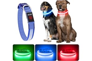 YFbrite Collier lumineux à LED rechargeable, réglable, réfléchissant et lumineux à la tombée de la nuit pour chiot, chiens de petite, moyenne et grande taille (design 2 - bleu, taille L)
