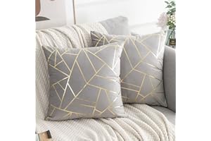 ETOLISHOP Cuscini per Divano 45x45 cm Grigio Cuscini per Divani Moderni Confezione 2 Federa in Velluto di Lusso 18x18 inch per Camera da Letto