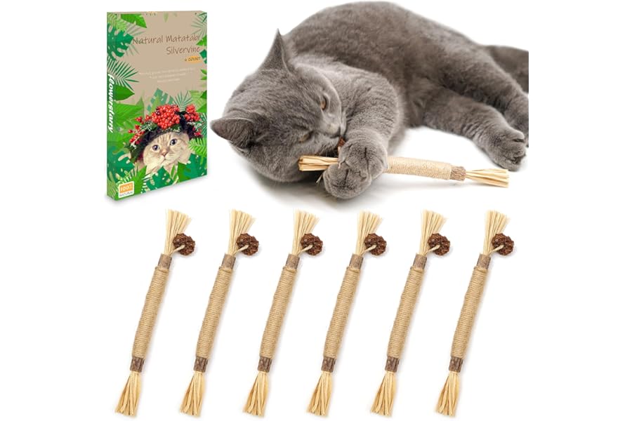 flowerstarry 6 Packs Natural Matatabi Silvervine Chew Sticks, Kitten Chew Toys Cat Teeth Cleaning Toys for Indoor Kitten Teething and Stress Release