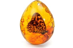 ExcLent Schmetterling Bernstein Harz Bernstein Schmetterling Insekt Stein Anhänger Halskette Geschenk Dekorationen