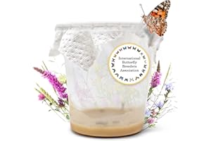 LEPITERRA® Caterpillar Cup - Caterpillar Refill Set - 7 Cups | Ideal Addition to Butterfly Habitat | Breeding Butterflies [Success Guarantee]