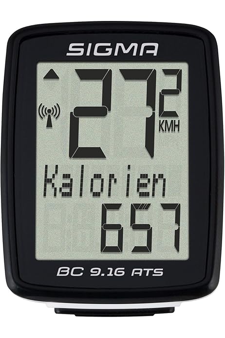 sigma sports cycle to work