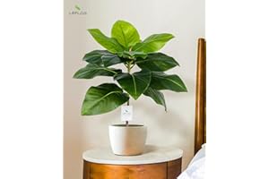Leflos 60cm árbol de Magnolia Artificial para Interior, árbol Artificial Tropical en Maceta Blanca
