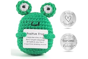 Kabwea Ornamento a Maglia Rana Positiva e Moneta della Fortuna, Regali Positivi, Rana, Portafortuna Malattia Tumore