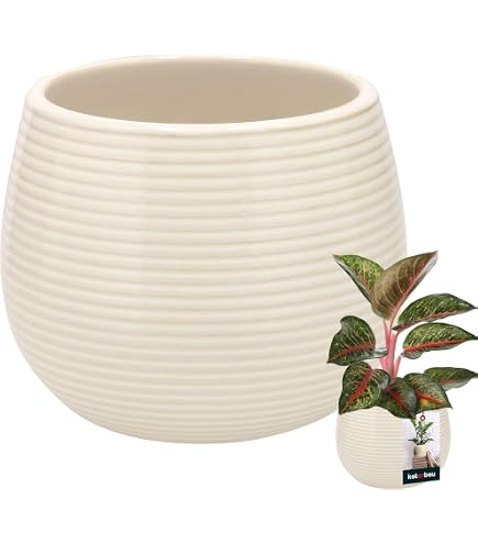 KOTARBAU® Keramische bloempot overpot 13 cm voor bloemen planten wit KOTARBAU® Keramische bloempot overpot 13 cm voor bloemen planten wit