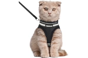 rabbitgoo Zestaw uprzęży dla kota i smycz do chodzenia, odporna na ucieczkę, regulowana, miękka kamizelka z odblaskowym paskiem dla bardzo małych kotów, wygodna uprząż kamizelki do noszenia na