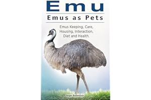 Emu. Emus as Pets. Emus Keeping, Care, Housing, Interaction, Diet and Health