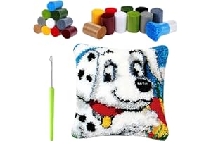 HonGien DIY Crochet à la Main Kits, Kits de Coussins avec Crochet,Kit Tapis Point Noué à Faire pour Enfants Adultes Débutants,Artisanat Créatif