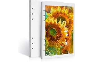 LIGHTWISH Carta per acquerelli, 100% cotone, pressata a freddo, 300 g/m², confezione da 2, totale 40 fogli A5, carta sostituibile perforata per artisti, adulti, studenti, 14 x 20 cm