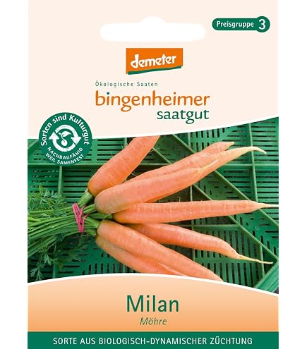 saatgut rote bete BIO-Saatgut 'Forono Rote Beete' – LIEBS.CO main image 1