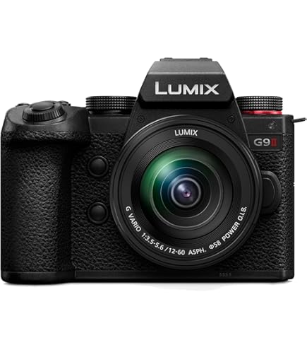 パナソニック LUMIX LEICA DG 100-400mm 新品)Panasonic (パナソニック) LEICA DG VARIO-ELMAR 100-400mm