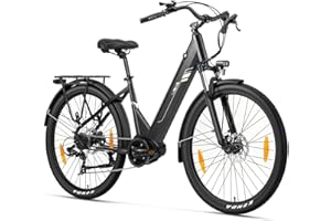 Touroll Bicicletta elettrica Urbano 3,con freno a disco idraulico, Motore Centrale 70 NM, Batteria Rimovibile 13Ah, Autonomia di 120km, bicicletta elettrica uom