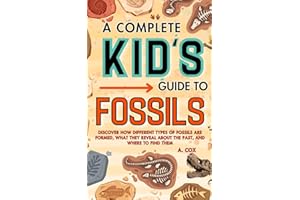 A Complete Kid's Guide to Fossils: Discover how different types of fossils are formed, what they reveal about the past, and where to find them