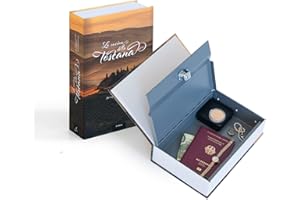 Leuchtturm 366255 Cassaforte per Libri Toscana - Acciaio 240 x 155 x 55 mm, cassaforte a Chiave per Oggetti di Valore, Coperchio Tedesco, Colorata