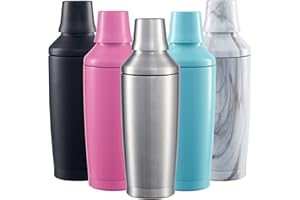 FABV Coctelera de cóctel lista para regalo con tapa Jigger Spirit – 600 ml aislada al vacío de acero inoxidable para cócteles – Mezclador de cóctel con colador de cóctel integrado (acero inoxidable)