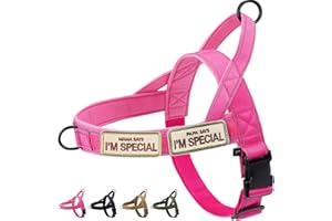 Eeyfarog No Pull Hundegeschirr für kleine mittelgroße Hunde, reflektierend ausbruchsicher verstellbar ohne Zug, Hundegeschirr (Rosa, S)