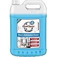 PaxClean Glass & Multi-Surface Quick Cleaner Spray with Hygienic Protection (Icy Breeze), 5L