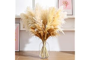 PatNlevs Pampasgras Deko - 12 Pampasgras Groß + 10 Trockenblumen Deko, Flauschiges Getrocknete Blumen Deko für Bodenvase, Hochzeits, Boho, Wohnzimmer, Tisch