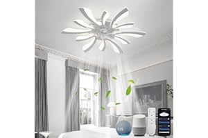 ‎YOLEDY YOLEDY Lampe mit Ventilator Leise mit Fernbedienung, Moderne Deckenventilator mit Beleuchtung 2.4GHz WiFi Funktioniert mit Alexa Google Home, für Schlafzimmer, Küche, Chrom
