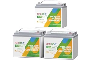 Redodo 12.8V 50Ah(Pack 3) batteria portatile al litio LiFePO4,sostituzione ideale per la batteria AGM SLA da 12V 100Ah, 4000-8000 cicli, perfetta per RV,Camper, dispositivi di sicurezza, ecc.