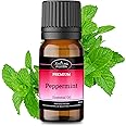 Peppermint Oil 10ml - Pure Essential Oil for Skin, Cleaning & Candle Making - Rat & Spider Repellent - Diffuser