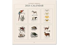Grupo Erik: Calendario Vintage 2025 da Muro Animali, 12 mesi, 30x30cm FSC®, Calendario 2025 da parete, Calendario ufficio 2025, Calendario 2025 animali