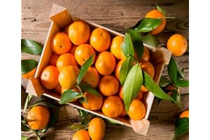 P.EMME SUPER Prova Assaggio QUALITA' kg.9 di CLEMENTINE di Corigliano-Rossano Calabria - Agrumi Mandarini Mandarancio