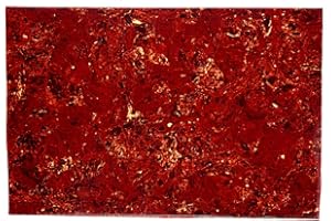 Musiclily 43,5x29cm Foglio Battipenna Materiale Pickguard Blank per Chitarra Elettrica e Basso, 4 strati Vintage Tortoise