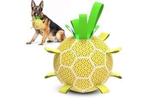 HETOO Dog Toys, Interactive Dog Football Toys with Grab Tabs, Durable Dog Balls for Small Medium Breed Dog Water Toy Indoor & Outdoor, Gift for Dogs 6 inch Pineapple