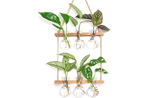 XXXFLOWER Wall Hanging Plant Propagation Station with Wooden Stand 3 Bulb Vase 2 Tiered Glass Planter Stations for Hydroponic Plant Cuttings Home Garden Wedding Decoration