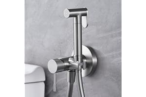 NOLUXA IMEX - Grifo Bidet para WC Empotrado | Ducha para Water con Agua Fria y Caliente | Ducha Higiénica para Inodoro con Rociador Bidet | Griferia Sustituto de Bidet | Serie Line | Color Niquel Cepillado