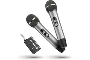 ECHOMUSSY Microfono Wireless, Microfono con Connessione Chip Uno a Uno, Durata 40 Ore, Ricezione a Distanza di 200 Piedi, Microfono karaoke a Tubo Semi-Metallico Per Canto, Registrazione Video, Youtube(Grigio)
