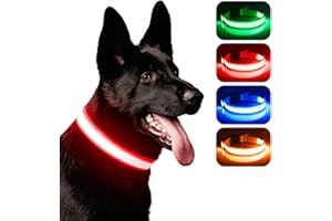 Leuchthalsband Hund, iTayga USB Aufladbar Led Hundehalsband Einstellbar Hundehalsband Leuchtend, Nacht-Sicherheitslicht Hundehalsband,TPU Wasserdicht, 3 Beleuchtungsmodi(Rot, L)