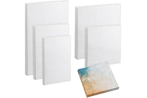 KAONESS 6 Pezzi Tela per Dipingere Piccola 10x10/10x15/15x15/15x20/20x20/20x30CM 100% cotone Cornice in Tela Pittura Cornice Vuota per Bambini Adulti Professionale Artisti