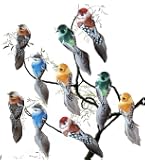 GIONAR - Lot De 10 Oiseaux Décoratifs En Plumes Et Mousse - Multicolores, Avec Clips - Pour Jardin, Noël, Décoration Intérieure