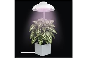 EMOS – LED-odling för krukväxter och suckulenter – tillväxtlampa i paraplydesign med timer, justerbar höjd – ljusstyrka 235 lm – 1,5 m USB-A-laddningskabel utan strömförsörjning –
