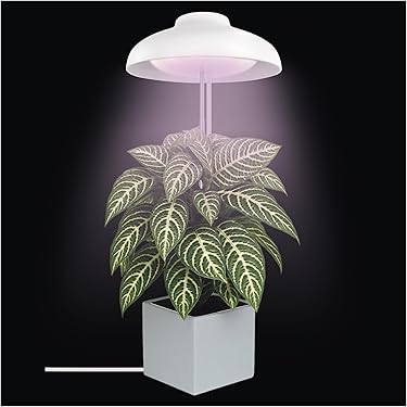 Full Spectrum Plant Grow Light Met 360 Graden Zwanenhals Hoge Helderheid Dimbare Clip On Led Plant Light Flower Grow Lamp