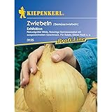 Sperli Gemüsesamen Gemüsezwiebel Exhibition, grün