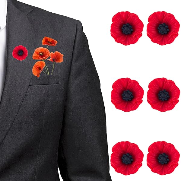 Best Badge 2024 Poppy Pin Brooch Remembrance Day Decorations Memorabilia Veterans Memorial Military Pin Never Forget (2pcs) : Buy Online At Best Price In KSA - Souq Is Now - Foto 4